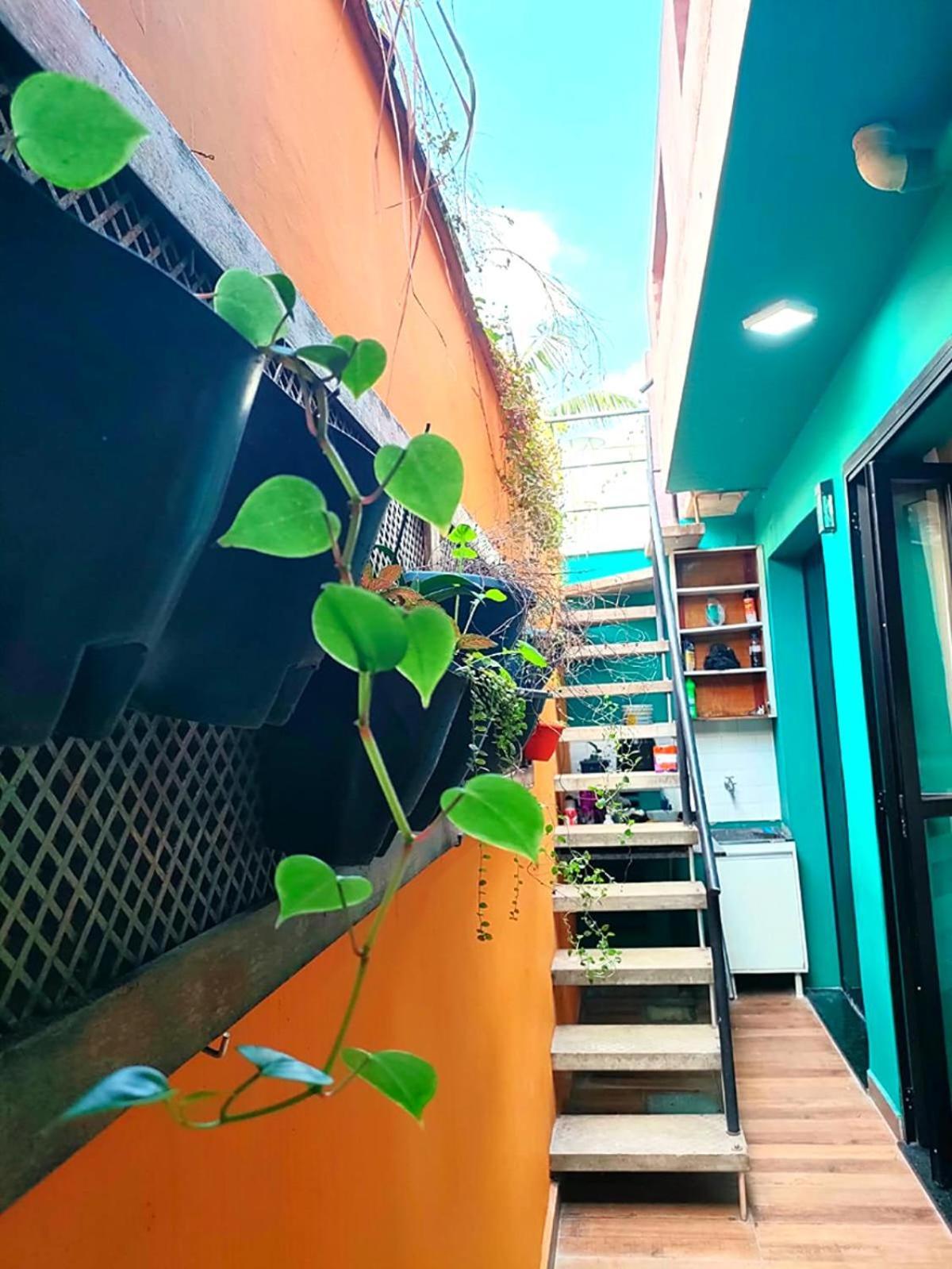 Casa 373 - Hospedaria Vila Mariana - Valores Acessiveis San Paolo Esterno foto